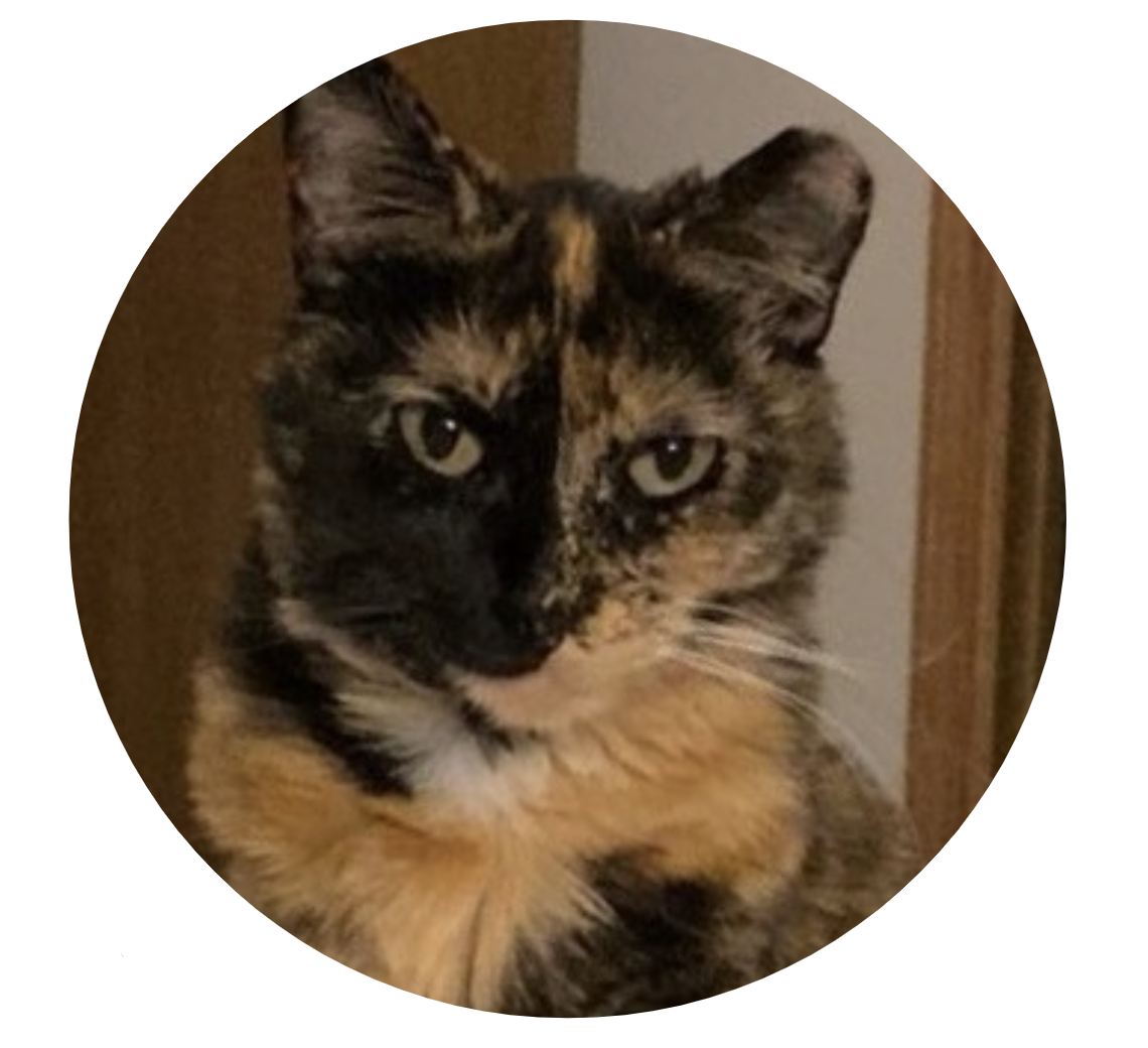 Headshot of Phoebe B. McKay